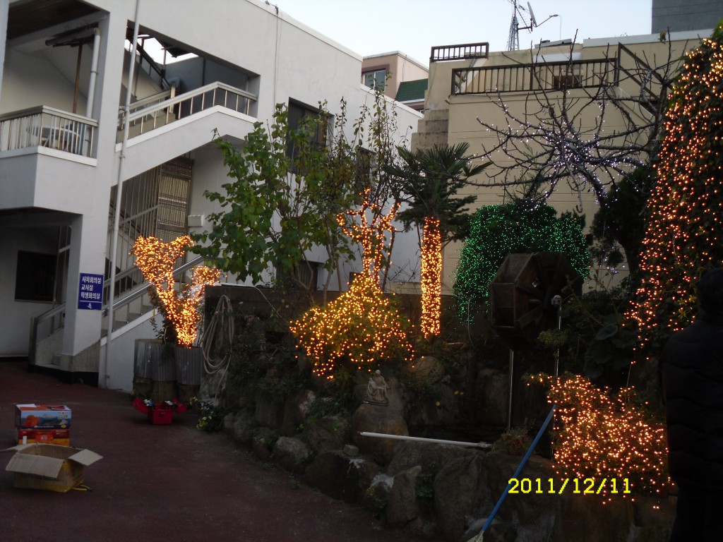 SDC17897.JPG