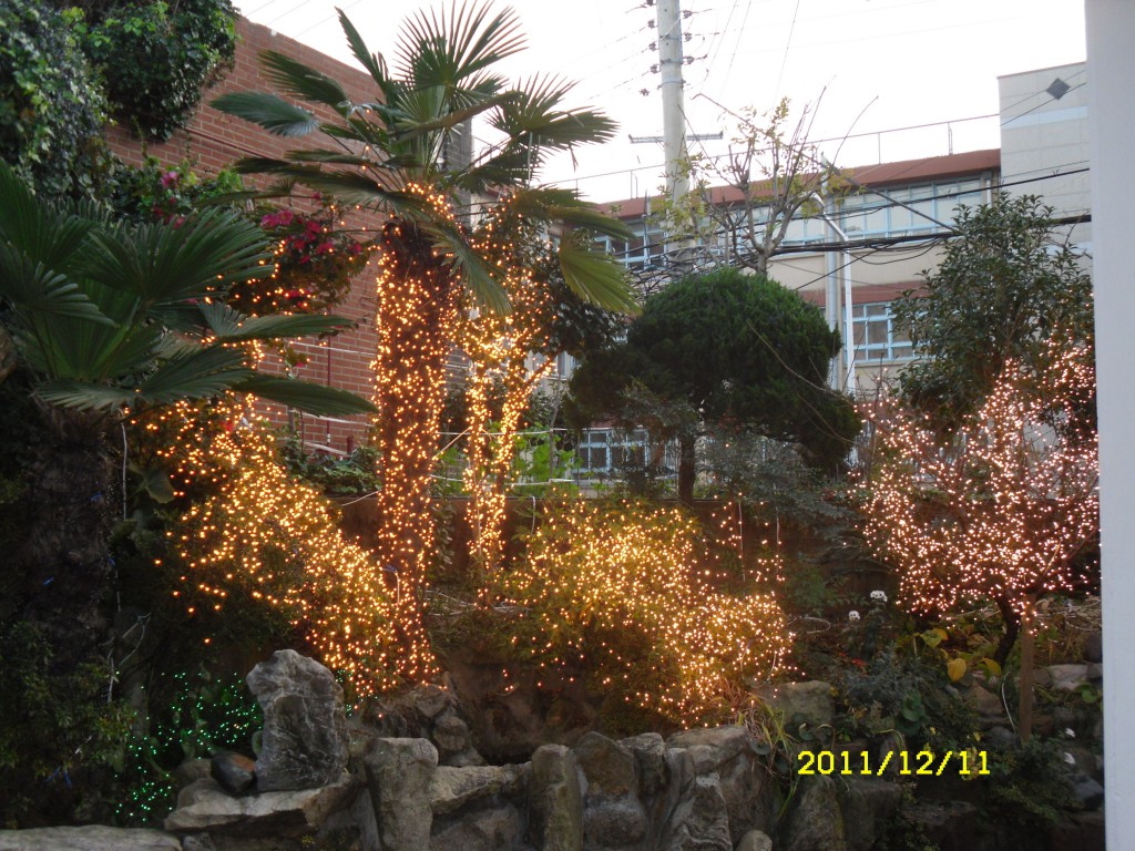 SDC17895.JPG