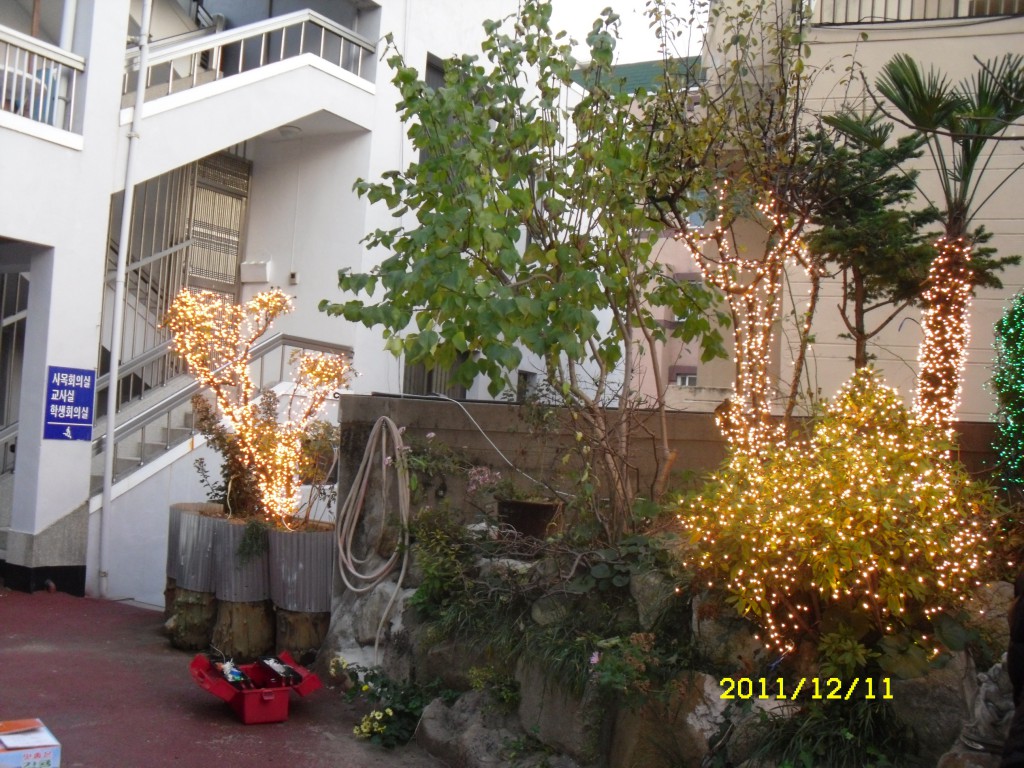 SDC17902.JPG