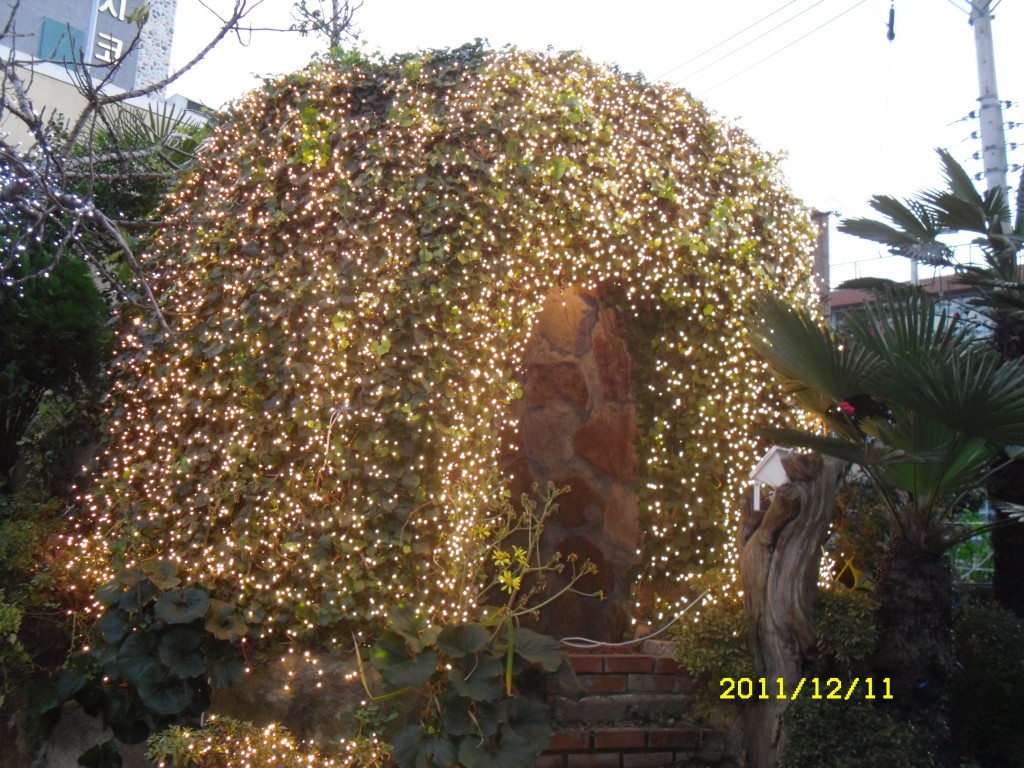 SDC17903.JPG
