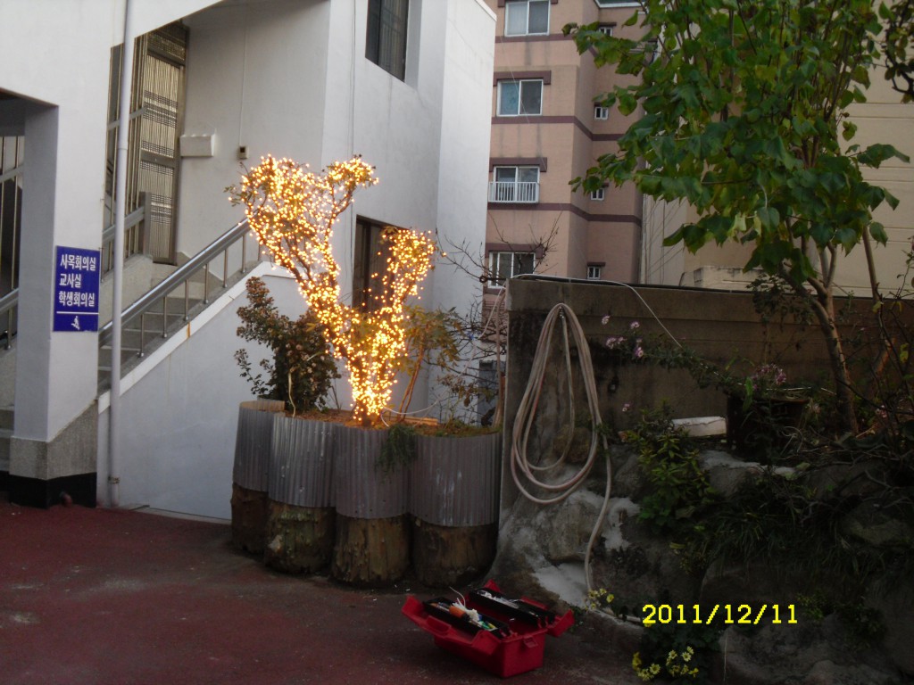 SDC17904.JPG