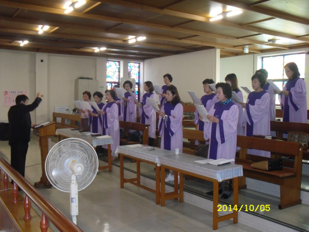 SDC16153.JPG