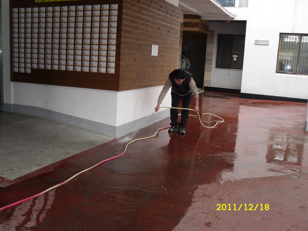 SDC18407.JPG