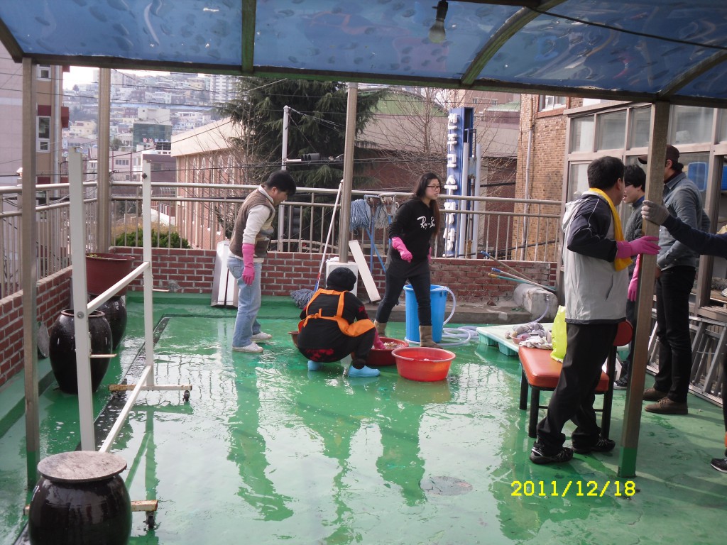 SDC18379.JPG