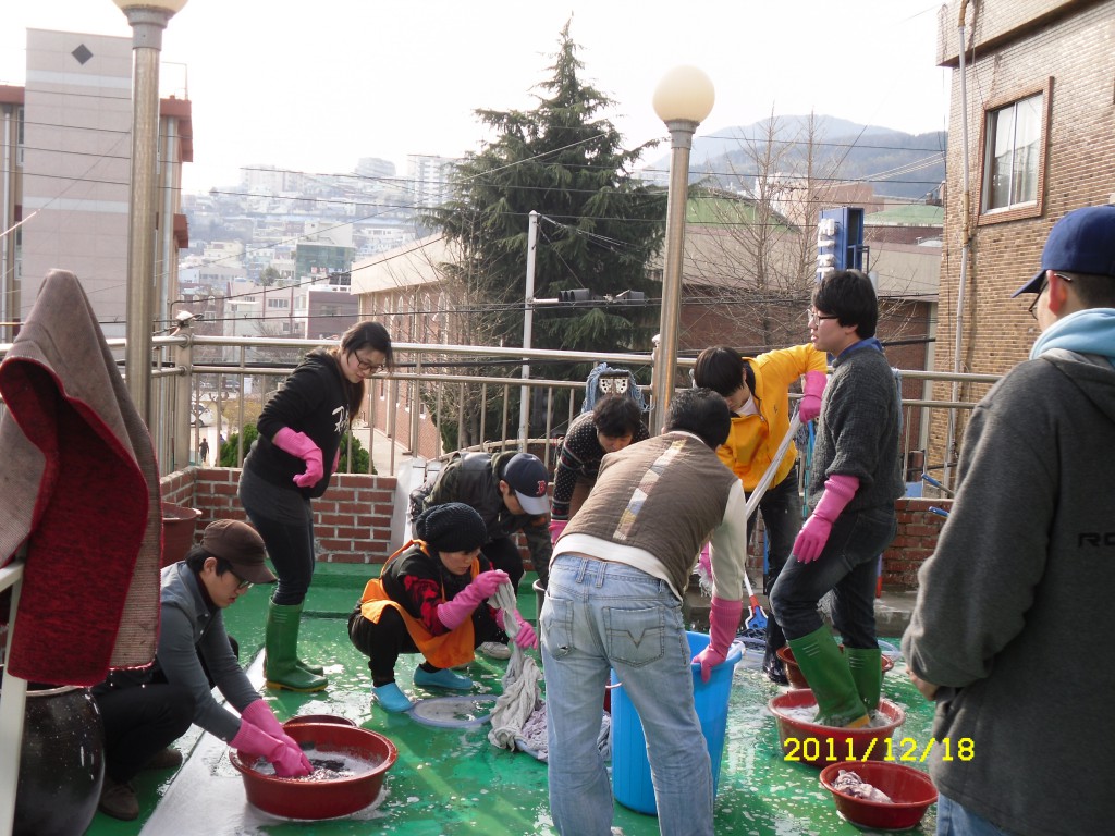 SDC18397.JPG