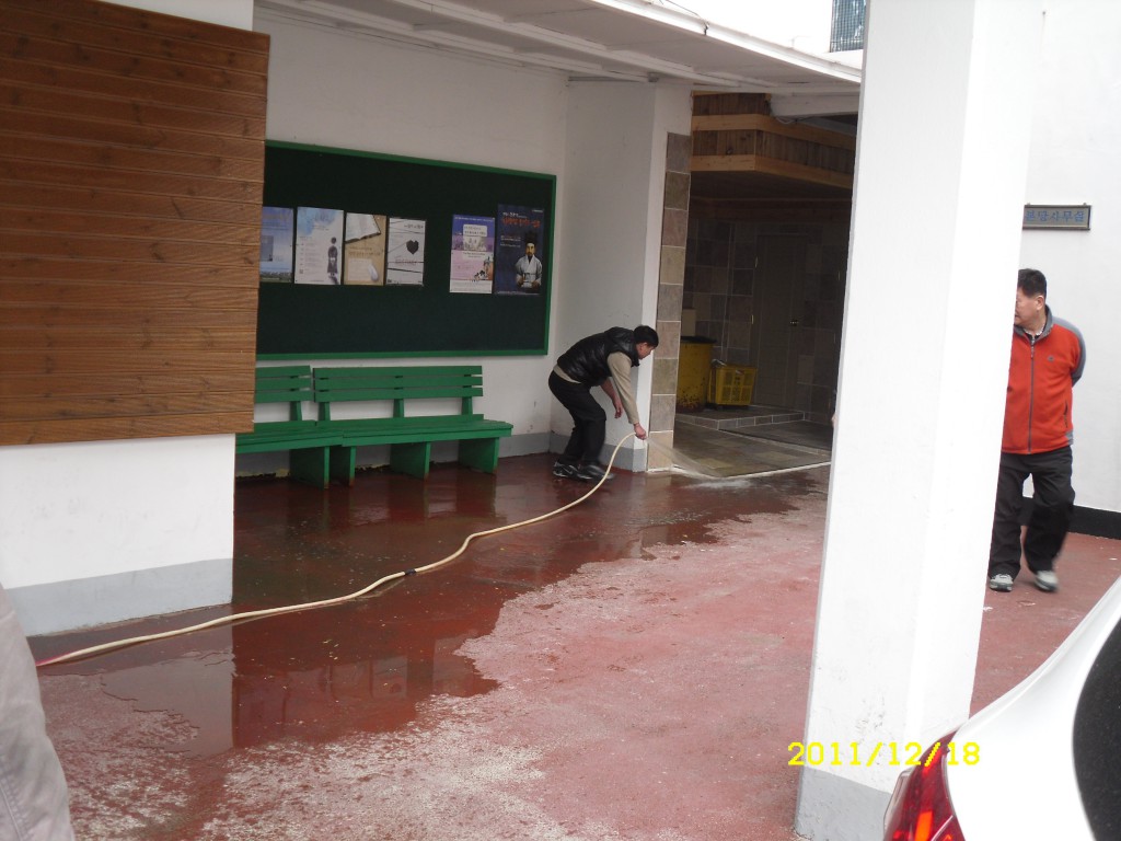 SDC18405.JPG