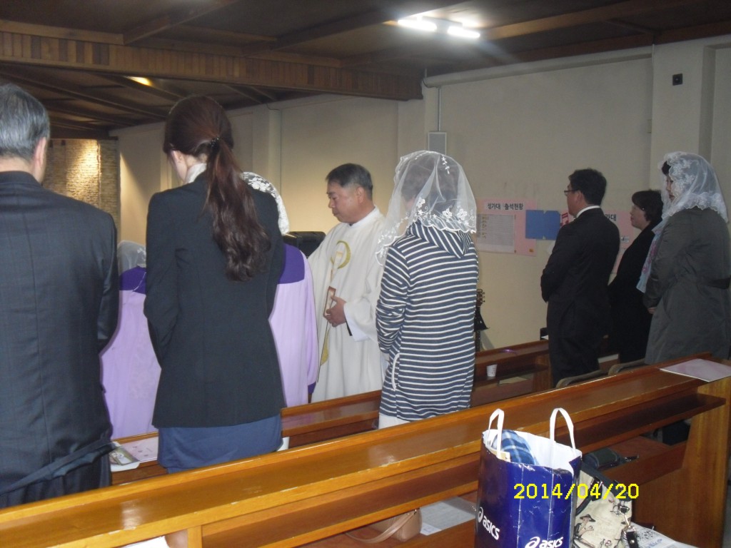 SDC13085.JPG