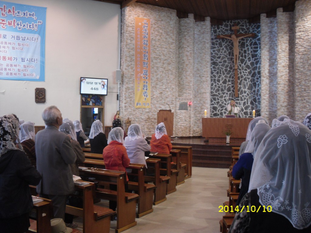 SDC16190.JPG
