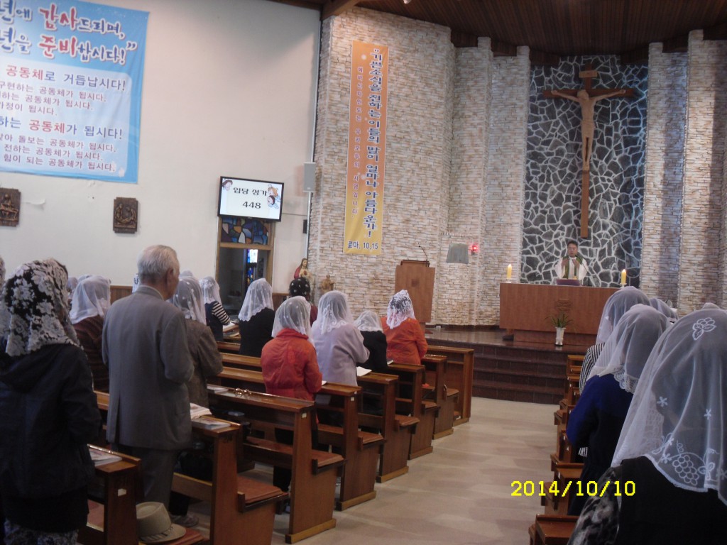 SDC16193.JPG