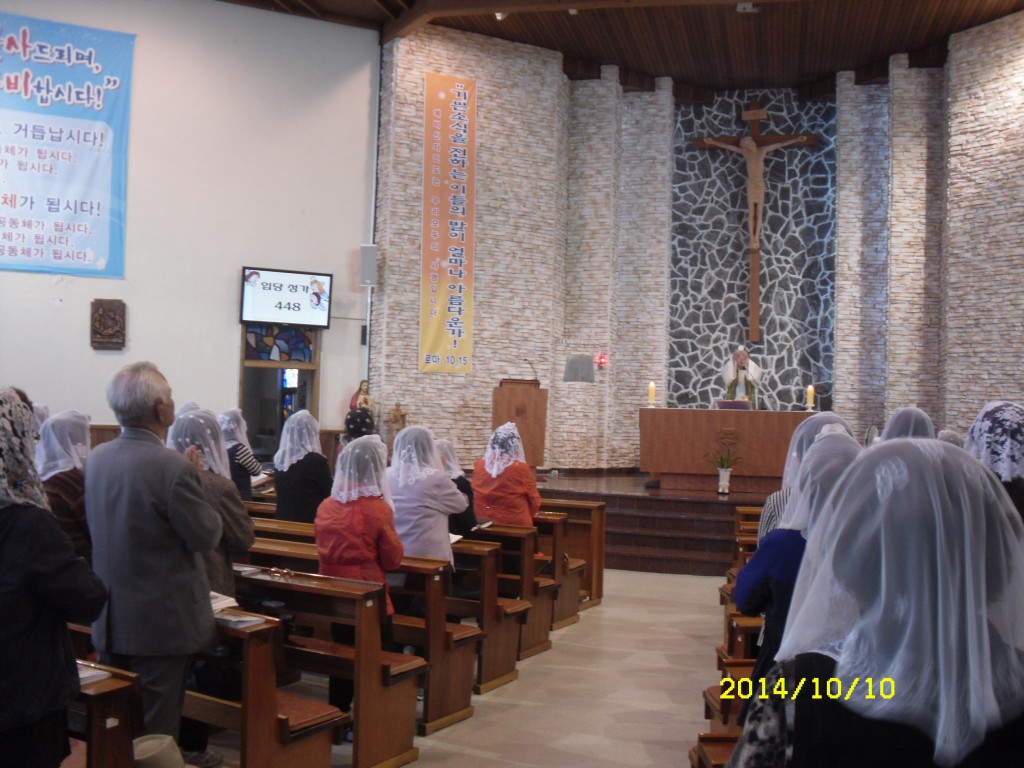 SDC16188.JPG