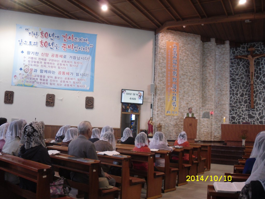SDC16184.JPG