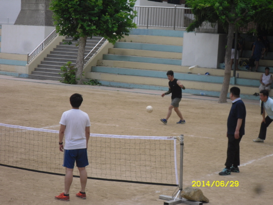 SDC14601.JPG