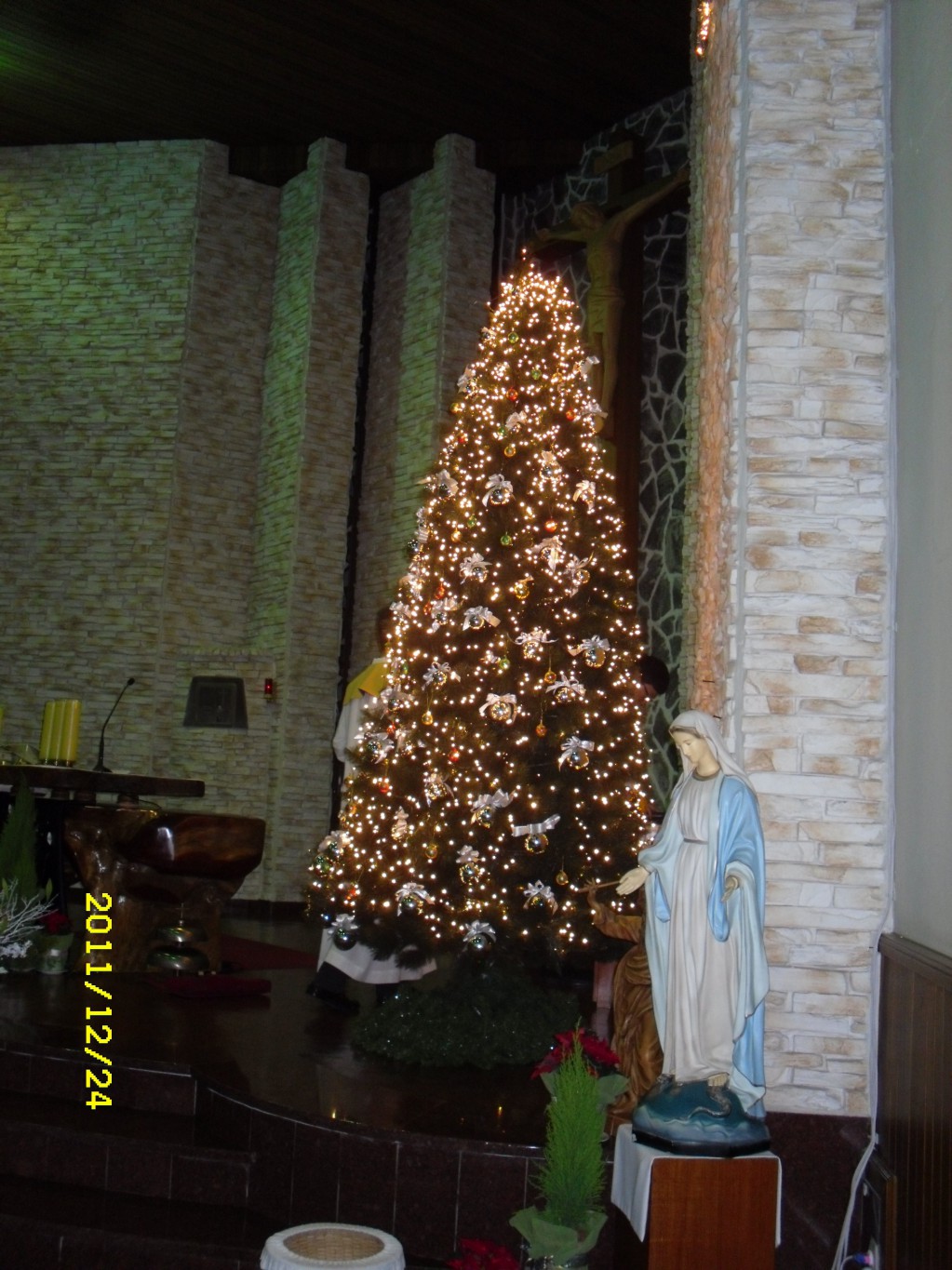 SDC18446.JPG