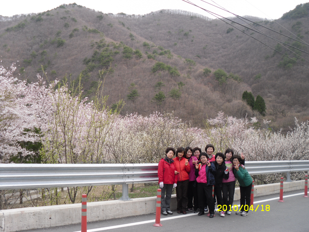 IMG 10-211.JPG