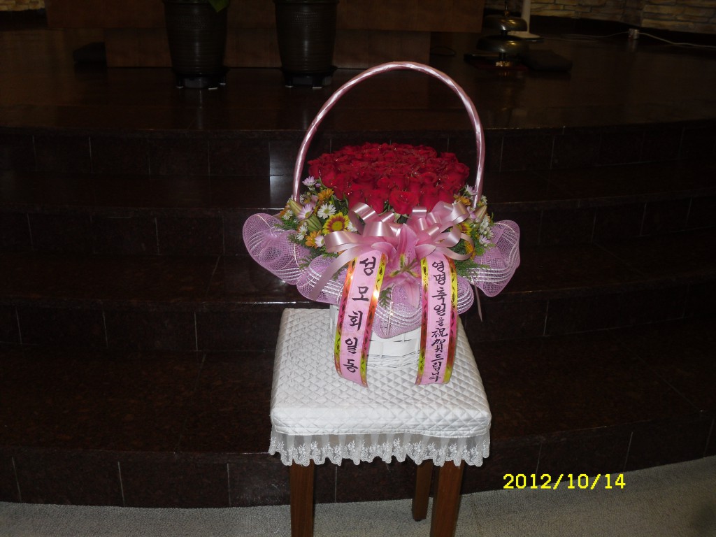 SDC11817.JPG