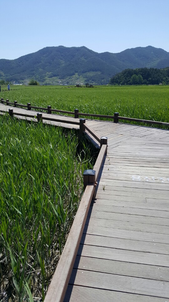 KakaoTalk_20170527_161528168.jpg