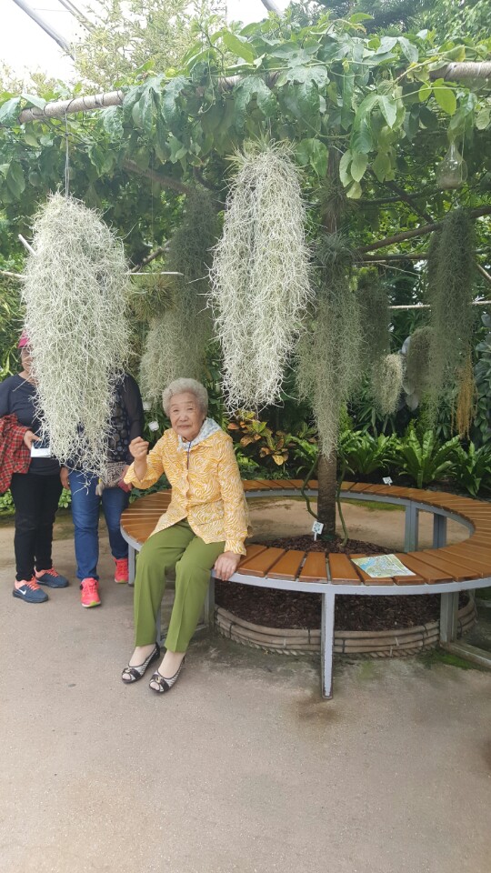 KakaoTalk_20170527_155321900.jpg