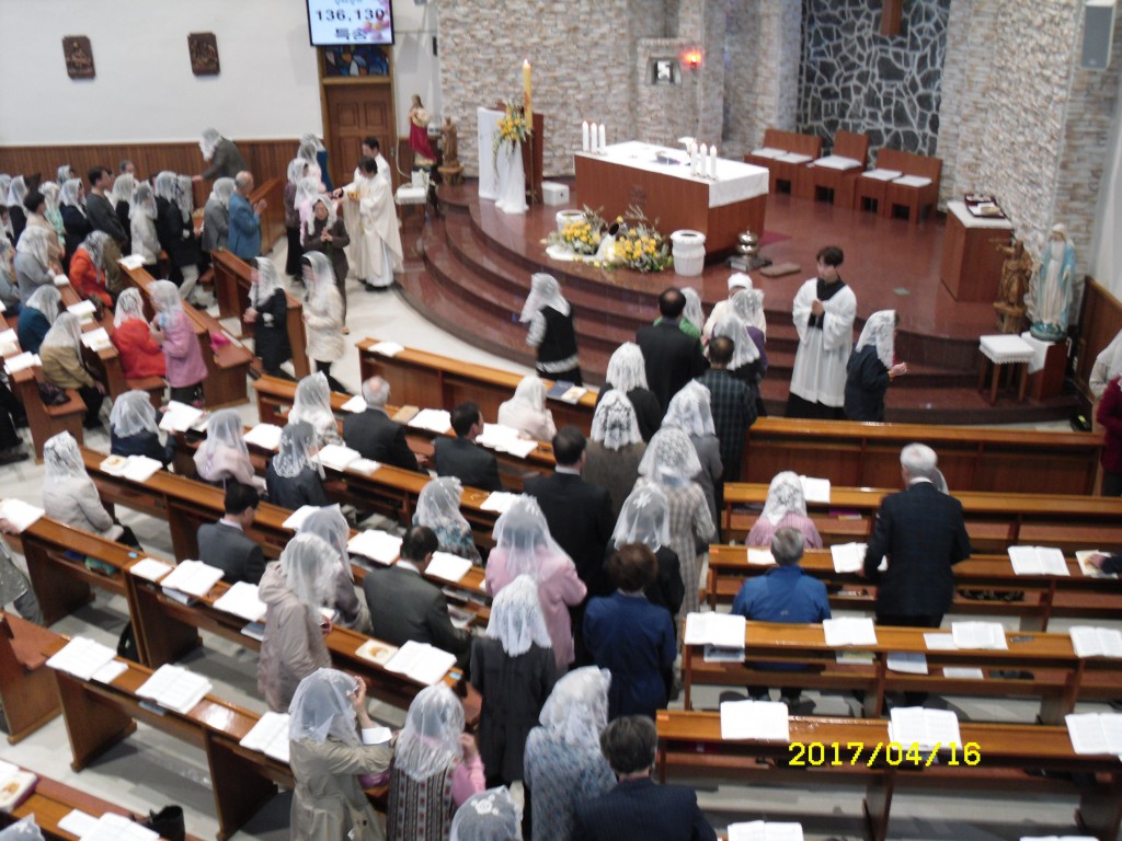 SDC11614.JPG