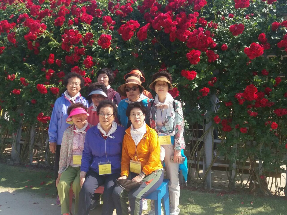 KakaoTalk_20170528_122846815.jpg