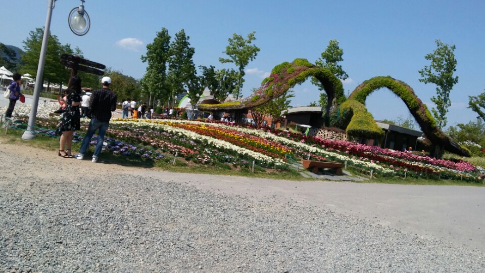 KakaoTalk_20170528_121423707.jpg