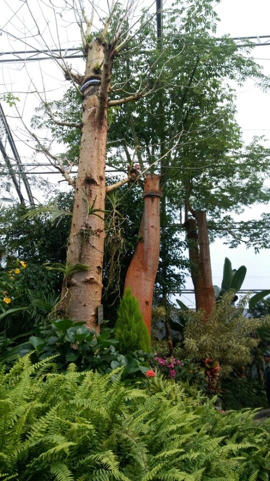KakaoTalk_20170528_121301799.jpg