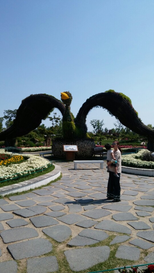 KakaoTalk_20170528_121421752.jpg