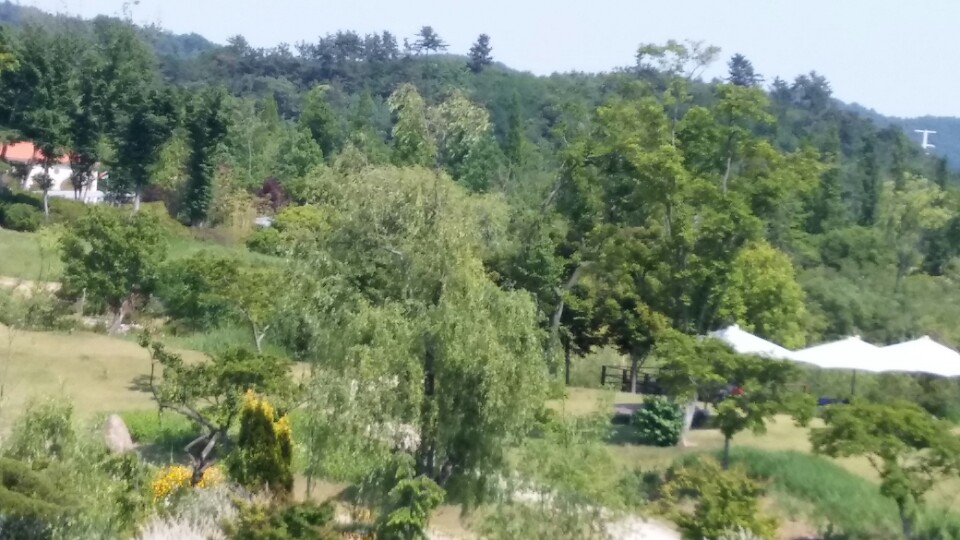 KakaoTalk_20170528_121539682.jpg