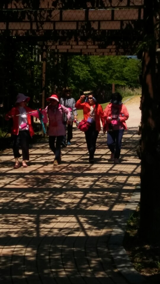 KakaoTalk_20170528_122657014.jpg