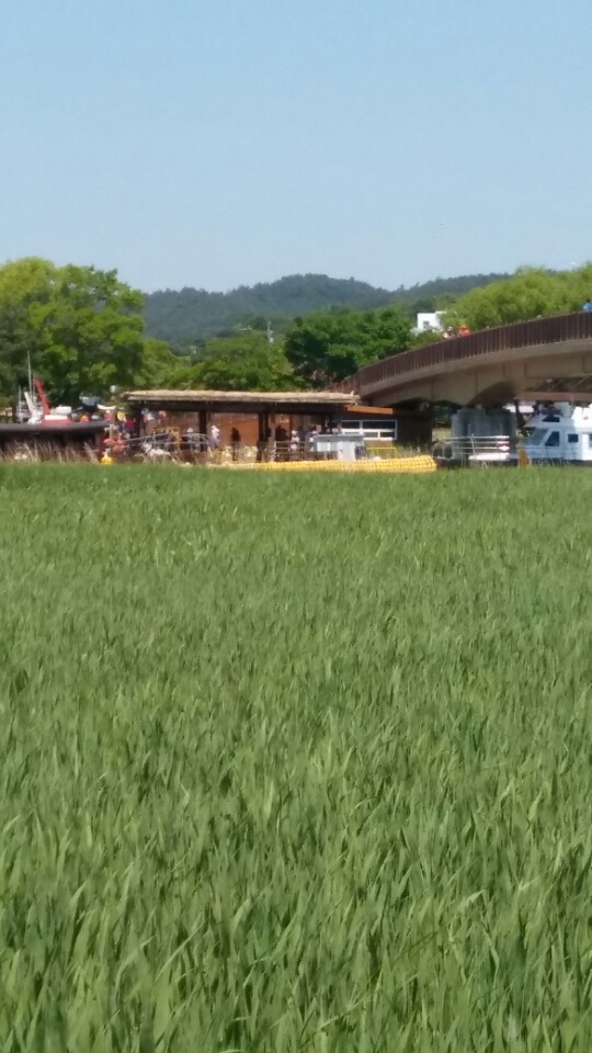 KakaoTalk_20170528_122507407.jpg