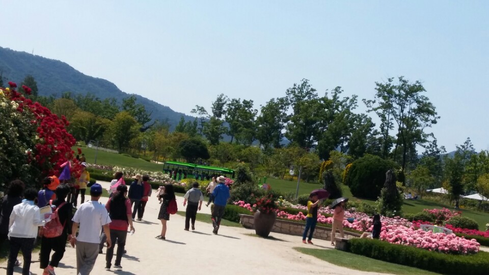 KakaoTalk_20170528_122059493.jpg