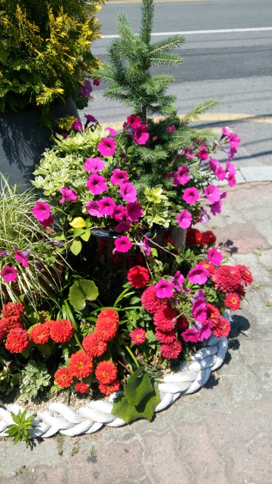 KakaoTalk_20170528_122241896.jpg