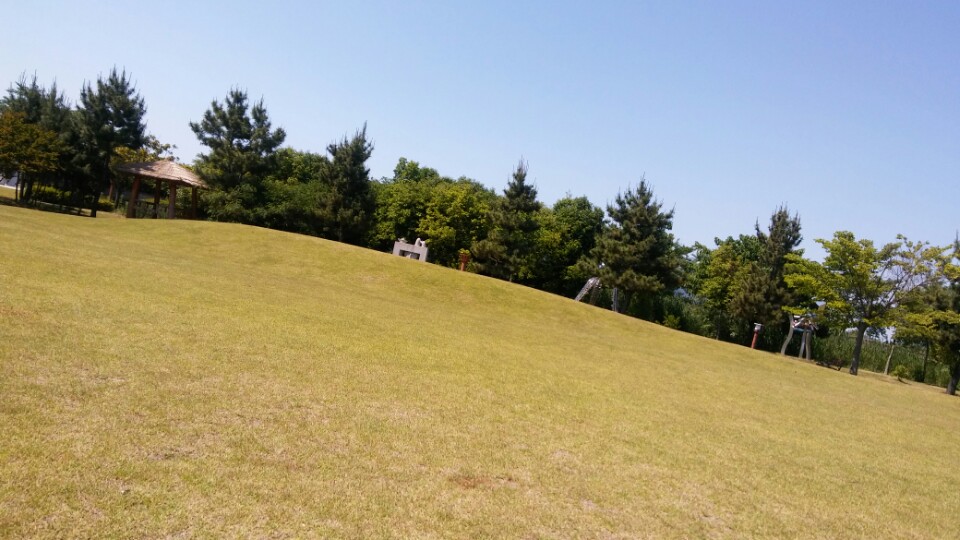 KakaoTalk_20170528_122658356.jpg
