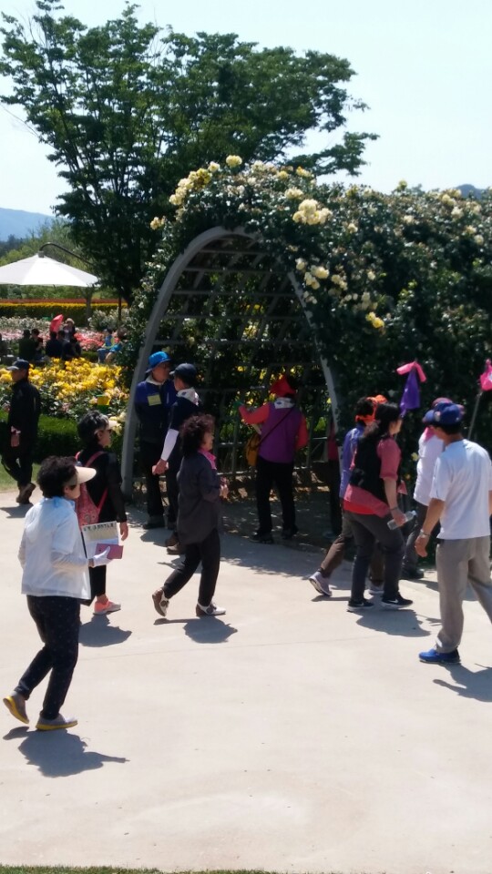 KakaoTalk_20170528_122100158.jpg