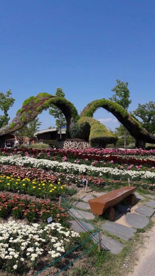 KakaoTalk_20170527_154929169.jpg