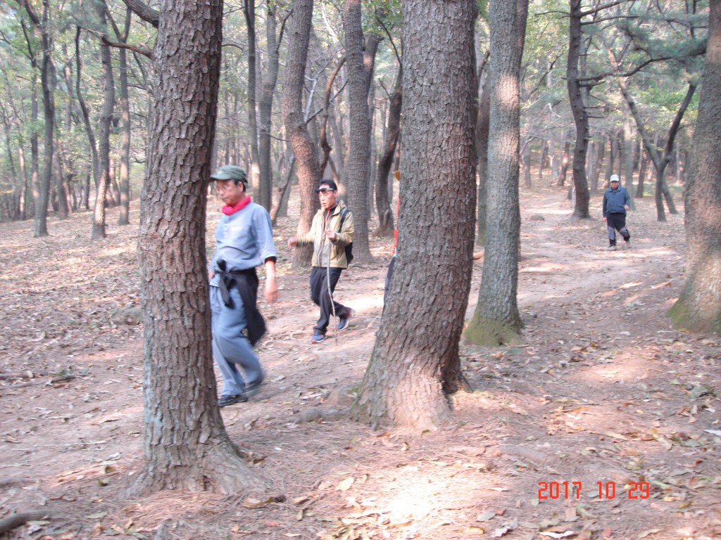 33.JPG
