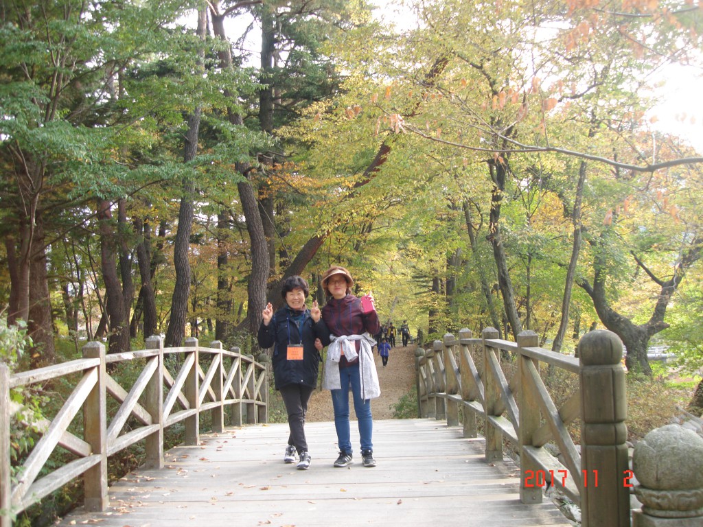 DSC01796.JPG
