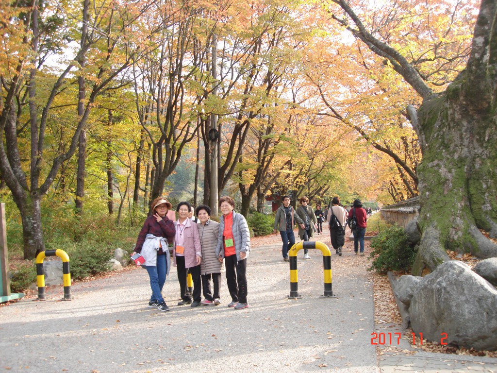 DSC01792.JPG
