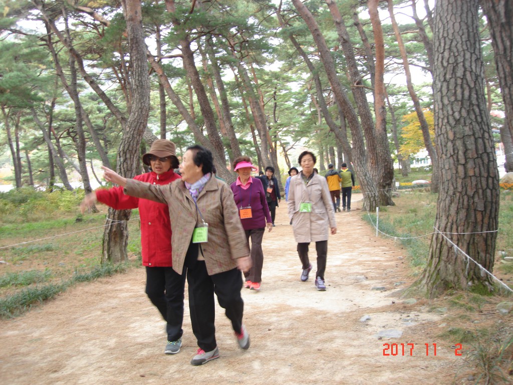 DSC01762.JPG