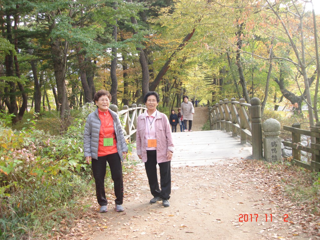 DSC01794.JPG