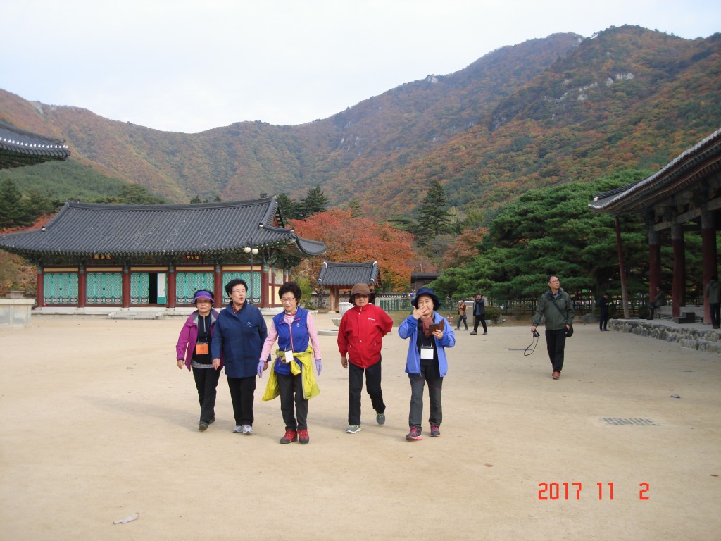 DSC01788.JPG