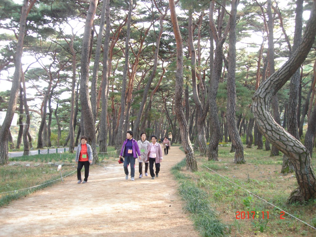 DSC01799.JPG