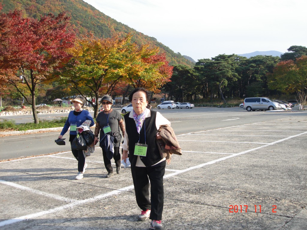 DSC01800.JPG