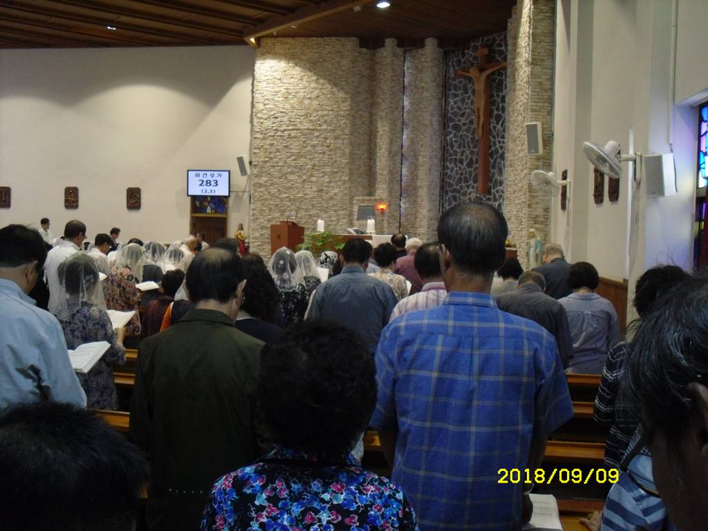 SDC14673.JPG