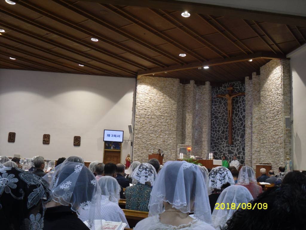 SDC14661.JPG
