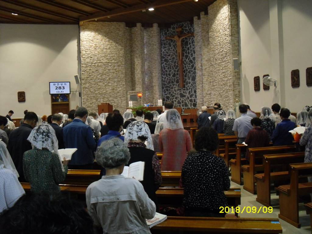 SDC14674.JPG
