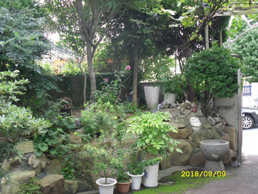 SDC14634.JPG