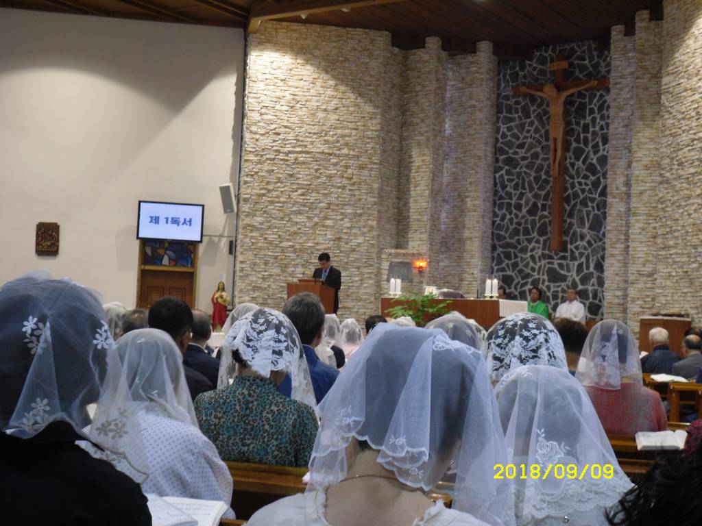 SDC14658.JPG