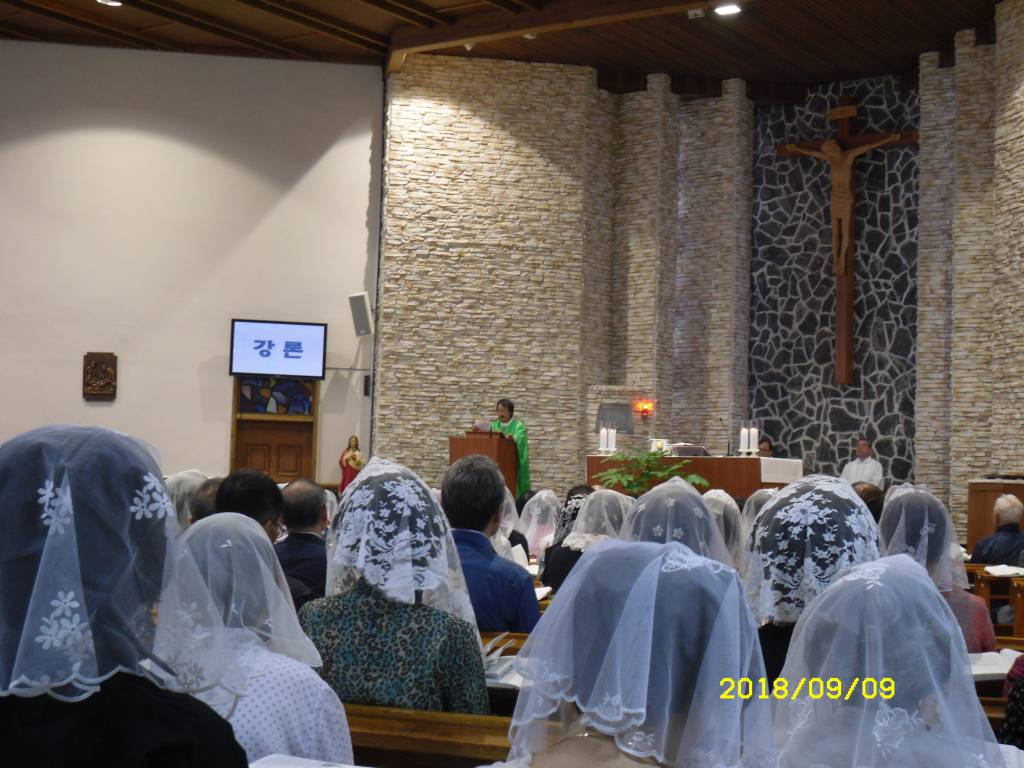 SDC14664.JPG
