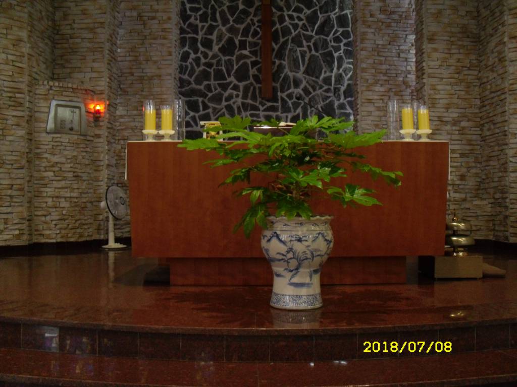 SDC13830.JPG