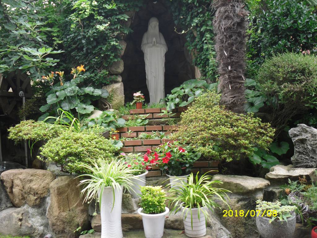 SDC13834.JPG